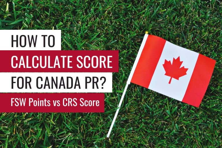 Canada Express Entry draw 2024 ,Latest CRS score | Green Tree